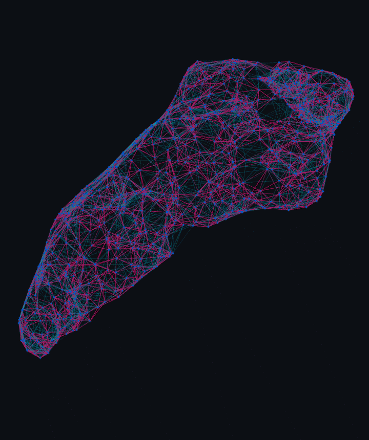 Animated graph view of the same synthetic planarian reset-activity showcase loop, showing nodes and conductance edges.